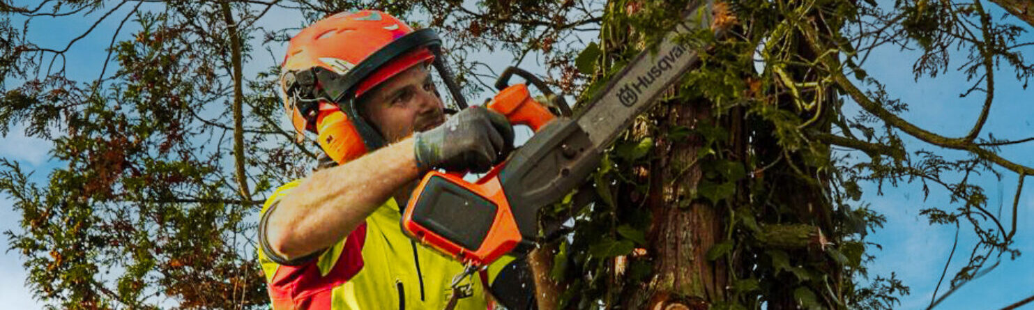 Baumkletterer Joshua Weiß